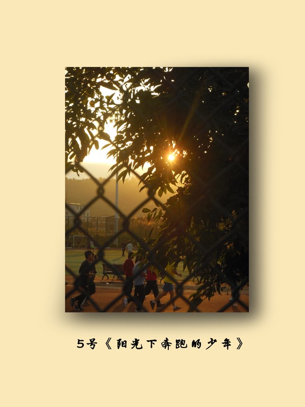 5号《阳光下奔跑的少年》.jpg