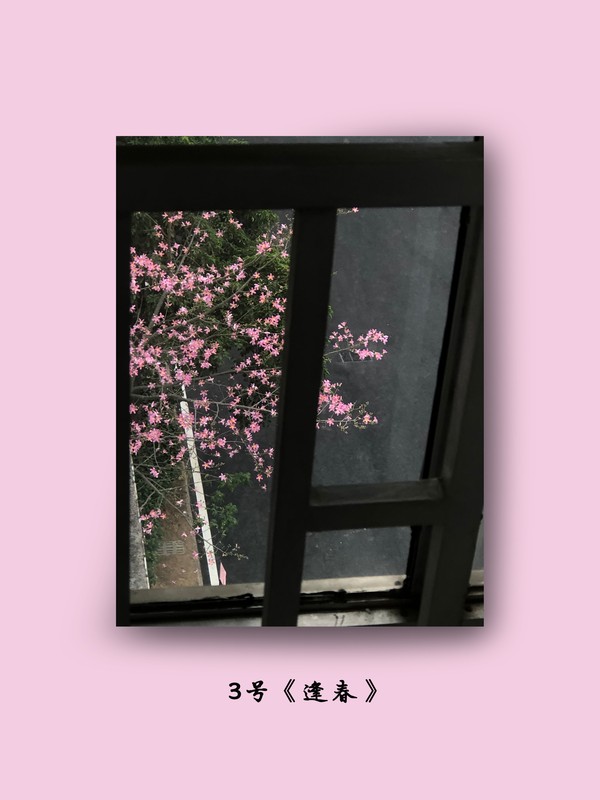 3号《逢春》.jpg