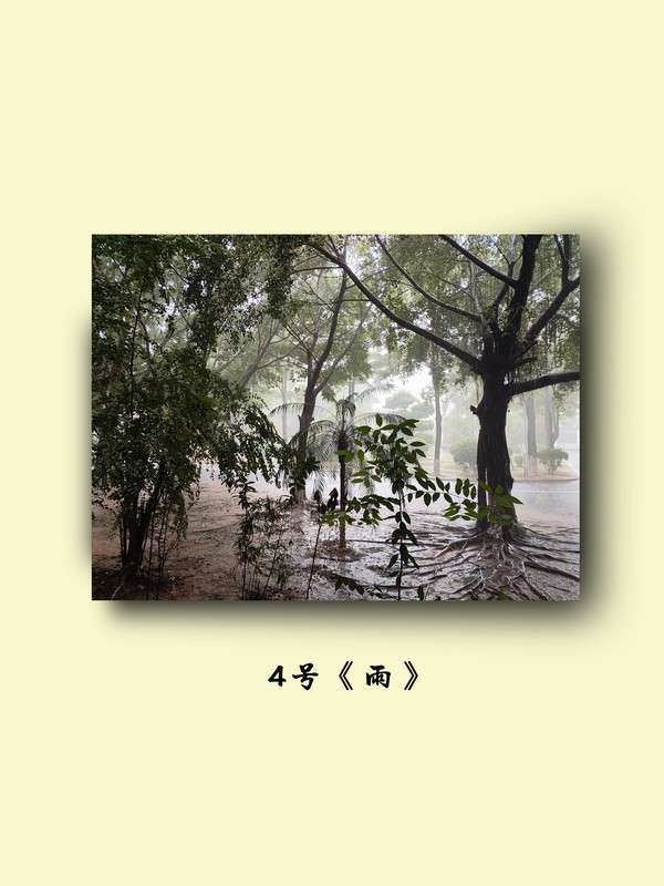 4号《雨》.jpg