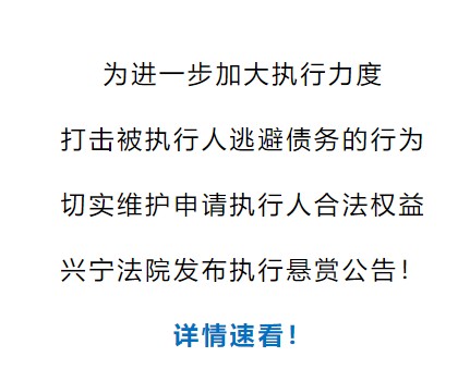 执行悬赏公告文字.png
