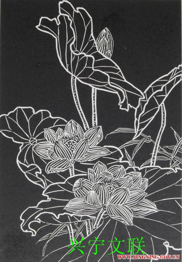 余柳娟.荷花.jpg
