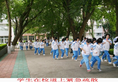2010123110438413.jpg