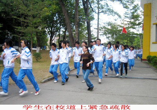 20101231104249264.jpg